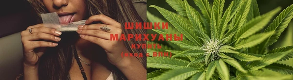 jwh Аркадак